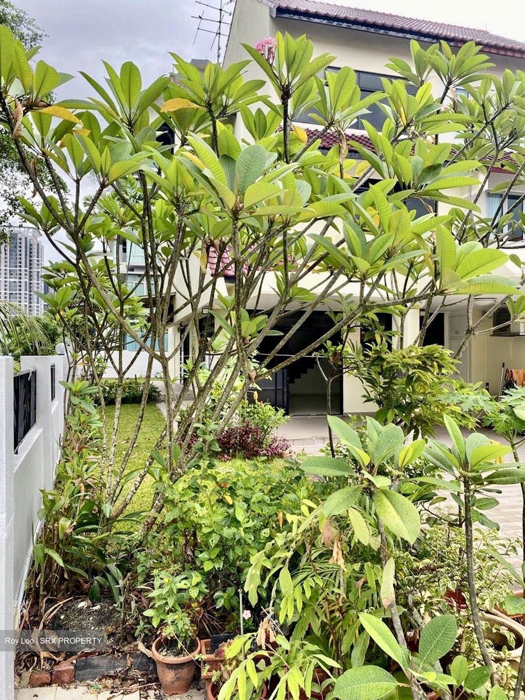 Upper East Coast Road (D16), Terrace #503431931